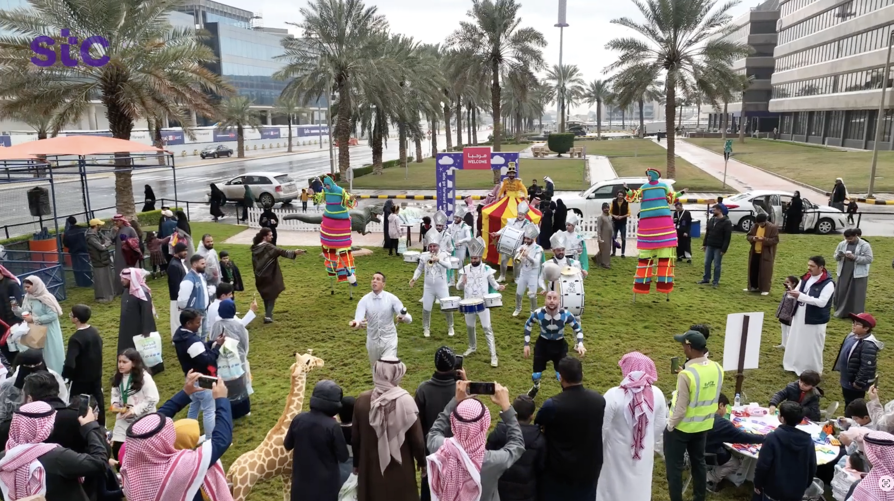 العرض الفني